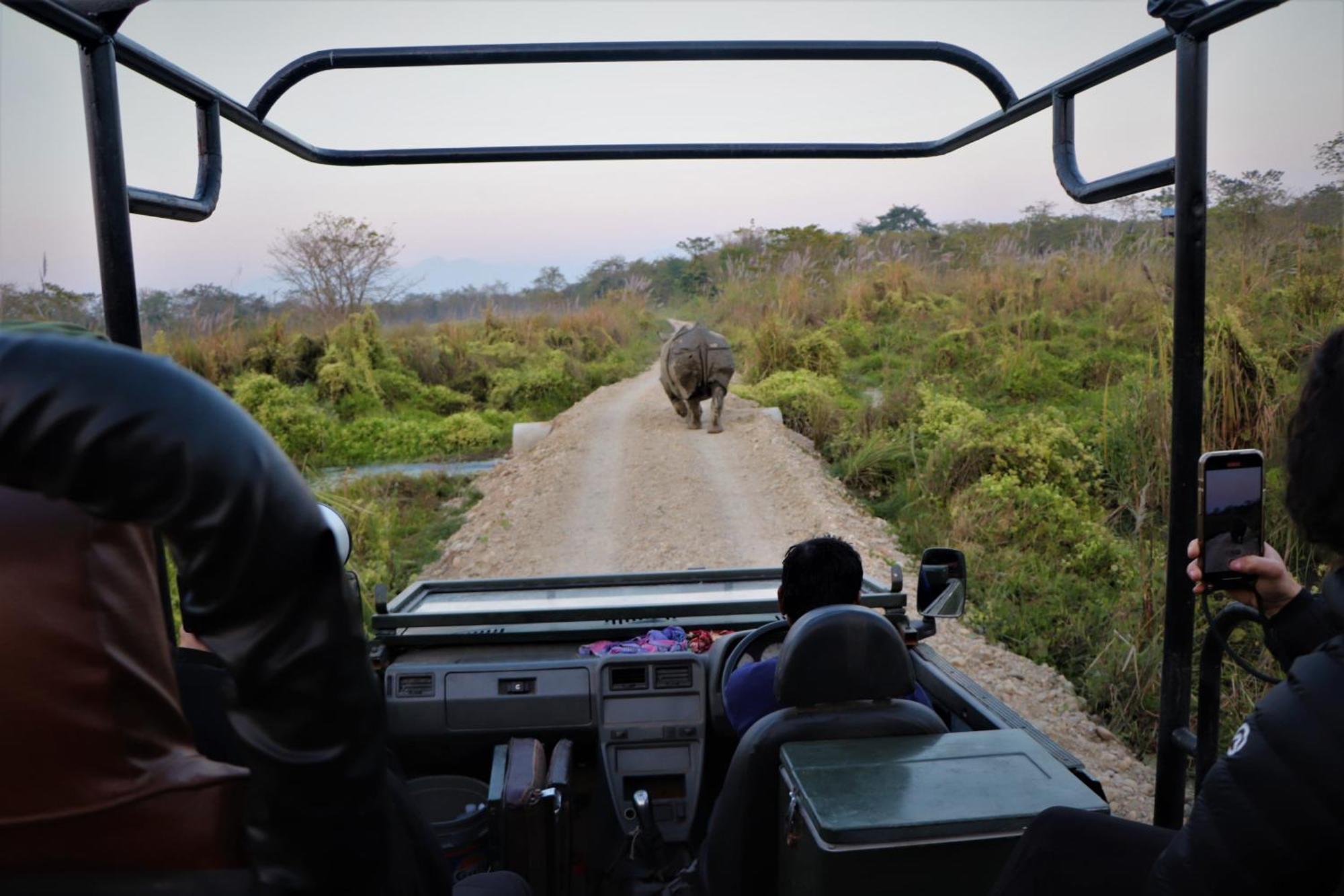 Hotel Flycatcher Chitwan- A Jungle Safari Home โซราฮา ภายนอก รูปภาพ