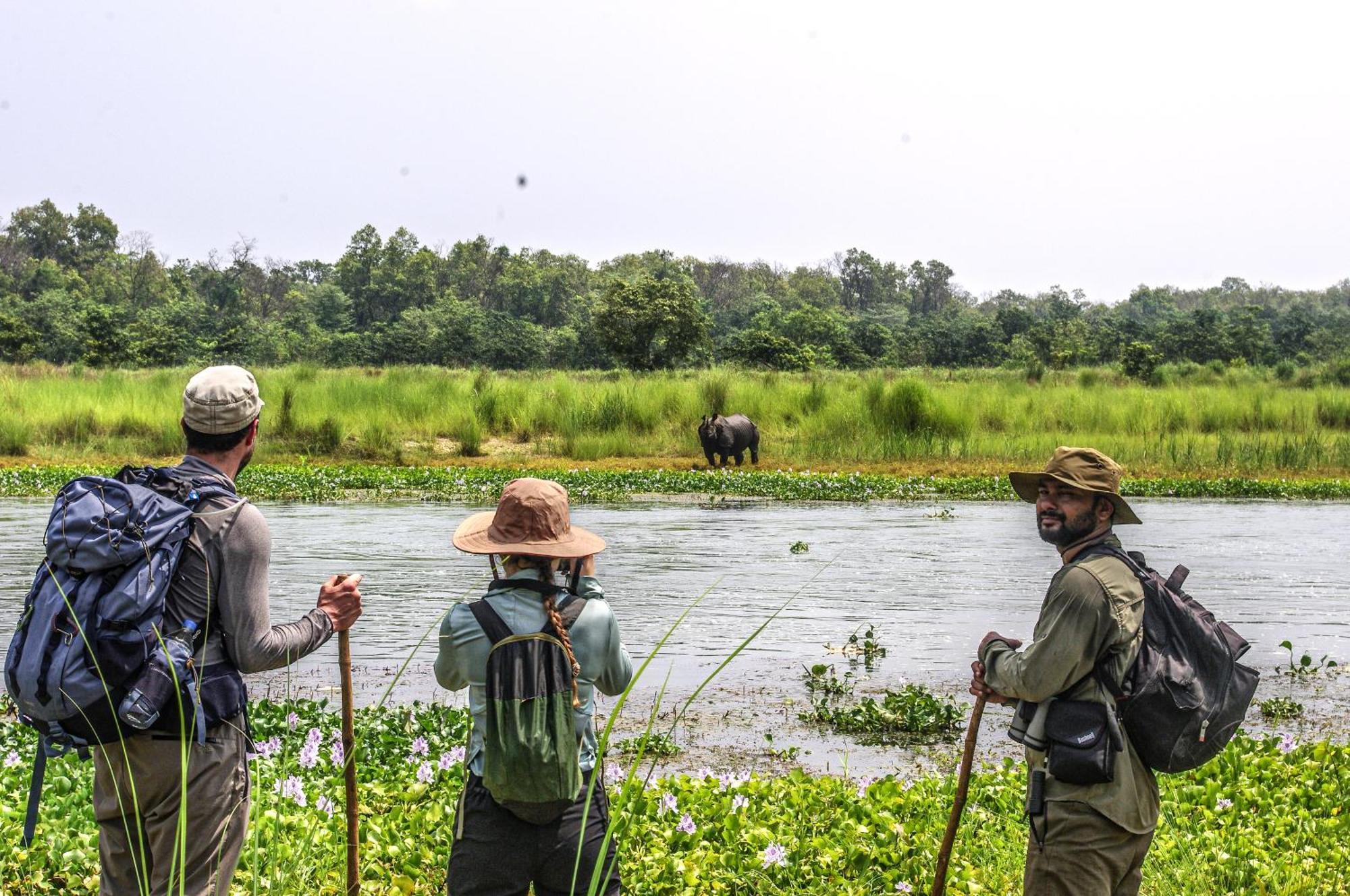 Hotel Flycatcher Chitwan- A Jungle Safari Home โซราฮา ภายนอก รูปภาพ